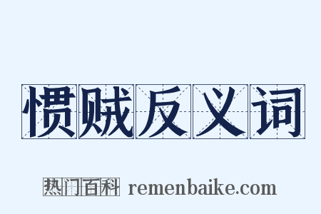 惯贼反义词是什么意思的图片